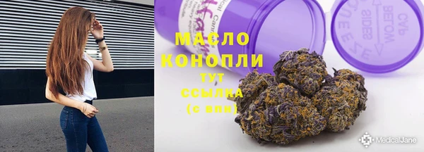 шишки Ельня