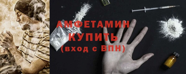 шишки Ельня