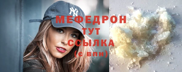 шишки Ельня