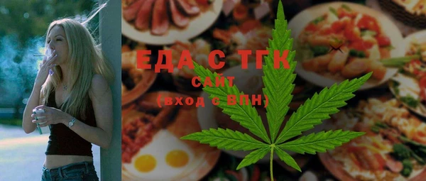 шишки Ельня