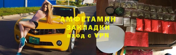 шишки Ельня