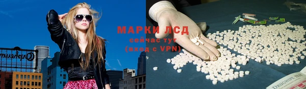 шишки Ельня
