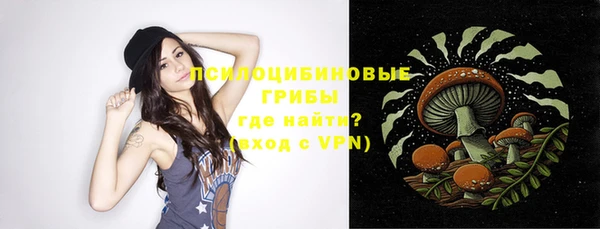 шишки Ельня