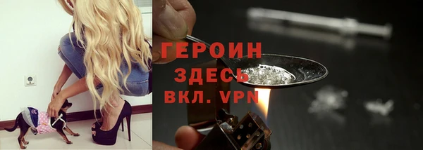 шишки Ельня