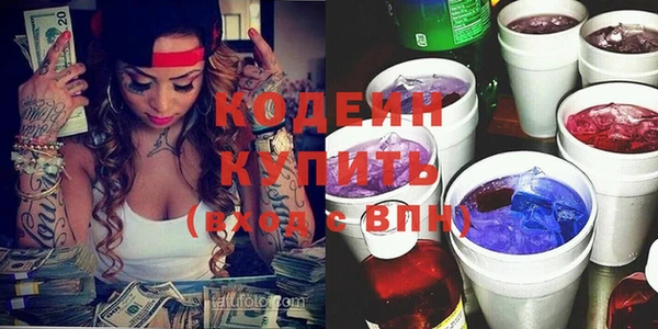 шишки Ельня