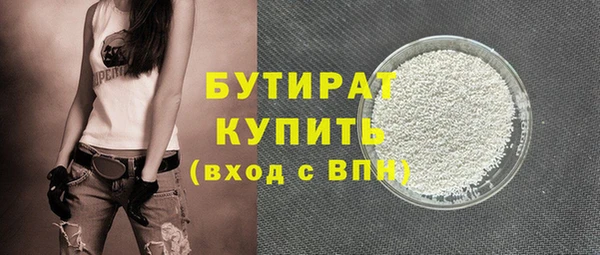 шишки Ельня