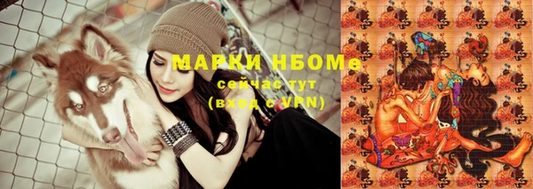 шишки Ельня