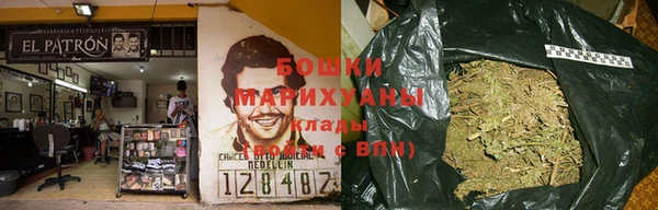 шишки Ельня