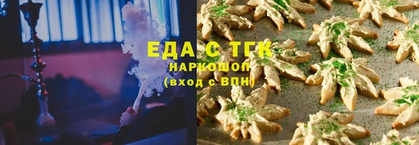 шишки Ельня